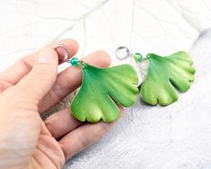 Earrings with leaves of Ginkgo Biloba for lovers of plant jewelry. Large green earrings - good choice for summer, rest and having fun. The earrings are very light and comfortable to wear. This pair will be nice gift for her, especially if she's botanical jewelry lover. Leaves are made by hand from polymer clay, not fragile, strong, not afraid of water. 🍃 Dimensions: Length of earrings 2.75 inches (7 cm) Size of leaf 2.17 * 1.77 inches (5.5 * 4.5 cm) 🍃 Materials: - Polymer clay - Bases for earr Green Dangle Earrings, Plant Jewelry, Ginkgo Biloba, Botanical Jewelry, Earrings Green, Green Earrings, Earrings Long, Be Nice, For Lovers