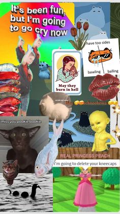 a collage of pictures with cats, birds and other things in it's image