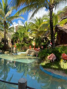 people are standing around in the water at an animal park with flamingos and palm trees