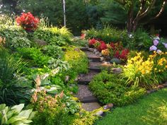 a garden filled with lots of different types of flowers and plants on top of green grass