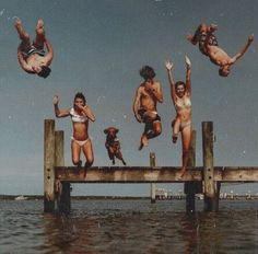 four people jumping off a pier into the water with their dog in front of them