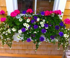 a window box filled with purple and white flowers