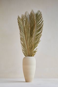 a white vase with a plant in it on a table next to a beige wall