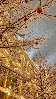 christmas decorations are hanging from the branches of trees in front of a building at night