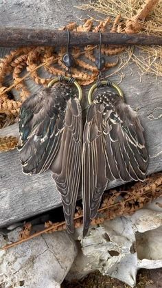 two brown and black birds hanging from hooks on a piece of wood with dried grass in the background