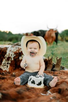 First birthday smash cake idea
Cow smash cake 
Cows