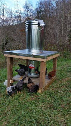 chickens are eating out of a bucket in the grass next to an outdoor stove with a water tank on top