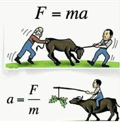 a man pulling a bull with the word f = ma on it's side