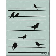 three birds sitting on wires with the words,'there is no place like home '