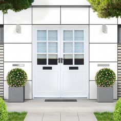 two planters with flowers are in front of a white door