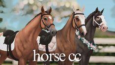 two horses standing next to each other in front of a fence with the words horse c on it