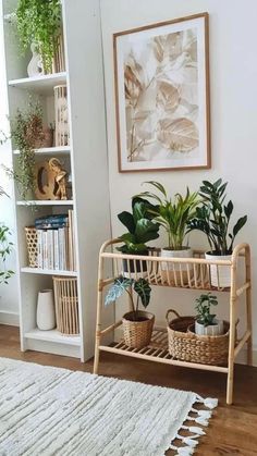 some plants are sitting on a shelf in a room with white walls and wooden floors