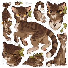 an image of cats with different expressions on their faces and body shapes in various poses