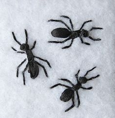 three black bugs sitting on top of snow covered ground