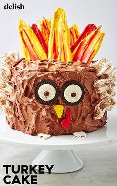 a turkey cake with chocolate frosting and fruit in the shape of an owl's head