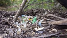 there are many empty bottles in the dirt by the river bank, and one is full of them