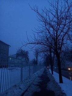 a street with snow on the ground and trees in front of it at night time