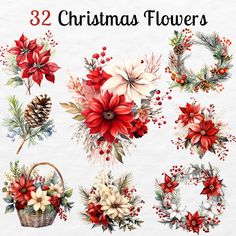 christmas flowers and wreaths with pine cones