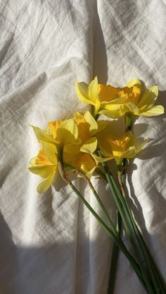 three yellow flowers sitting on top of a white bed sheet next to eachother