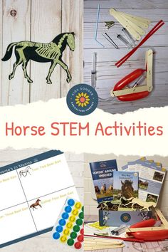 Horse Activities For Kids, Horse Activities, Horse Skeleton, Homeschool Art Curriculum, Homeschool Science Curriculum, Hydraulic Arm, Horseback Riding Lessons, Horse Lessons, Horse Camp