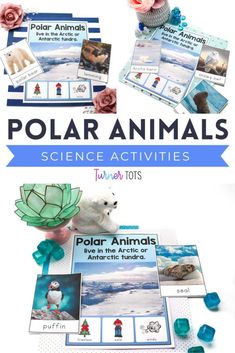 polar animals science activities for kids