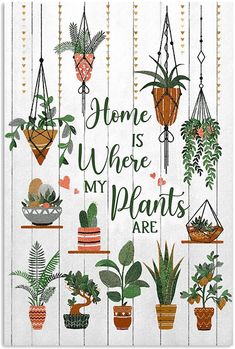 some plants are hanging from the side of a white wall with words on it that says home is where my plants are