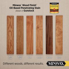 several different types of wood finish options for gunstocks and minwax woods