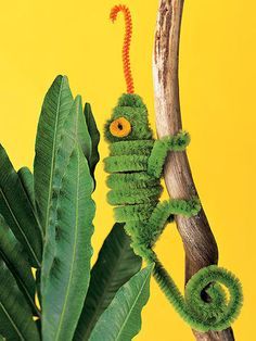 a green caterpillar sitting on top of a tree branch