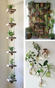 two pictures with plants hanging on the wall and one has an upside down planter