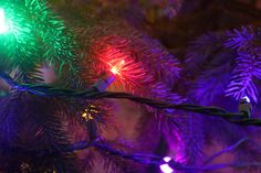 christmas lights are lit up on the branches of a tree in front of a blurry background