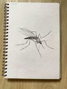 a drawing of a mosquito sitting on top of a white paper notebook next to a pen