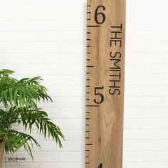 a wooden ruler with the measurements on it next to a potted plant