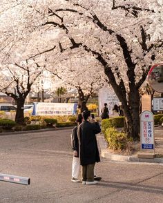 two people standing in the middle of a street under cherry blossom trees with their backs turned to the camera