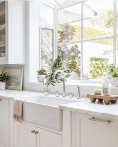 a white kitchen with lots of windows and plants on the counter top in front of it