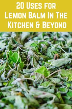 lemon balm in the kitchen and beyond with text overlay that reads 20 uses for lemon balm in the kitchen & beyond