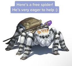 there is a spider with a helmet on it's head, and the caption reads here's a free spider he's very eager to help