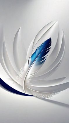 a white and blue feather on a gray background