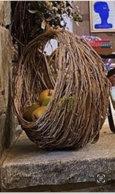 a basket full of fruit sitting on top of a stone bench next to a tree