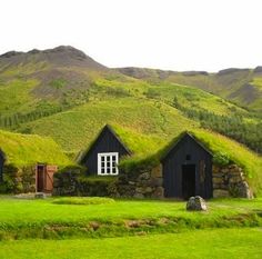 two black houses with grass roofs in the middle of a green field and mountains behind them