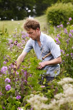 a man picking flowers in the middle of a field with tall grass and purple flowers