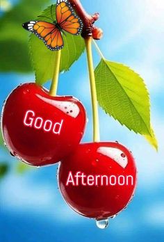 two cherries with the words good afternoon on them hanging from a green leafy branch