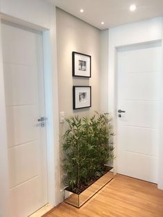 an instagram photo of a plant in front of two doors