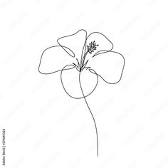 a single line drawing of a flower