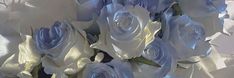 a bouquet of white and blue roses