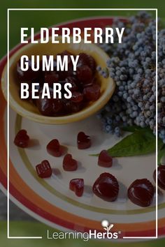 elderberry gummy bears on a plate with leaves and berries in the background text reads elderberry gummy bears