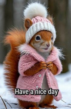 a squirrel wearing a pink coat and hat with the words have a nice day on it