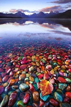 a leaf that is laying on some rocks by the water with mountains in the background