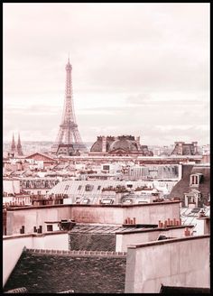 the eiffel tower towering over the city of paris