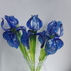 blue flowers are in a clear glass vase