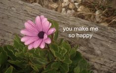 a pink flower sitting on top of a green plant next to a wooden plank with the words you make me so happy